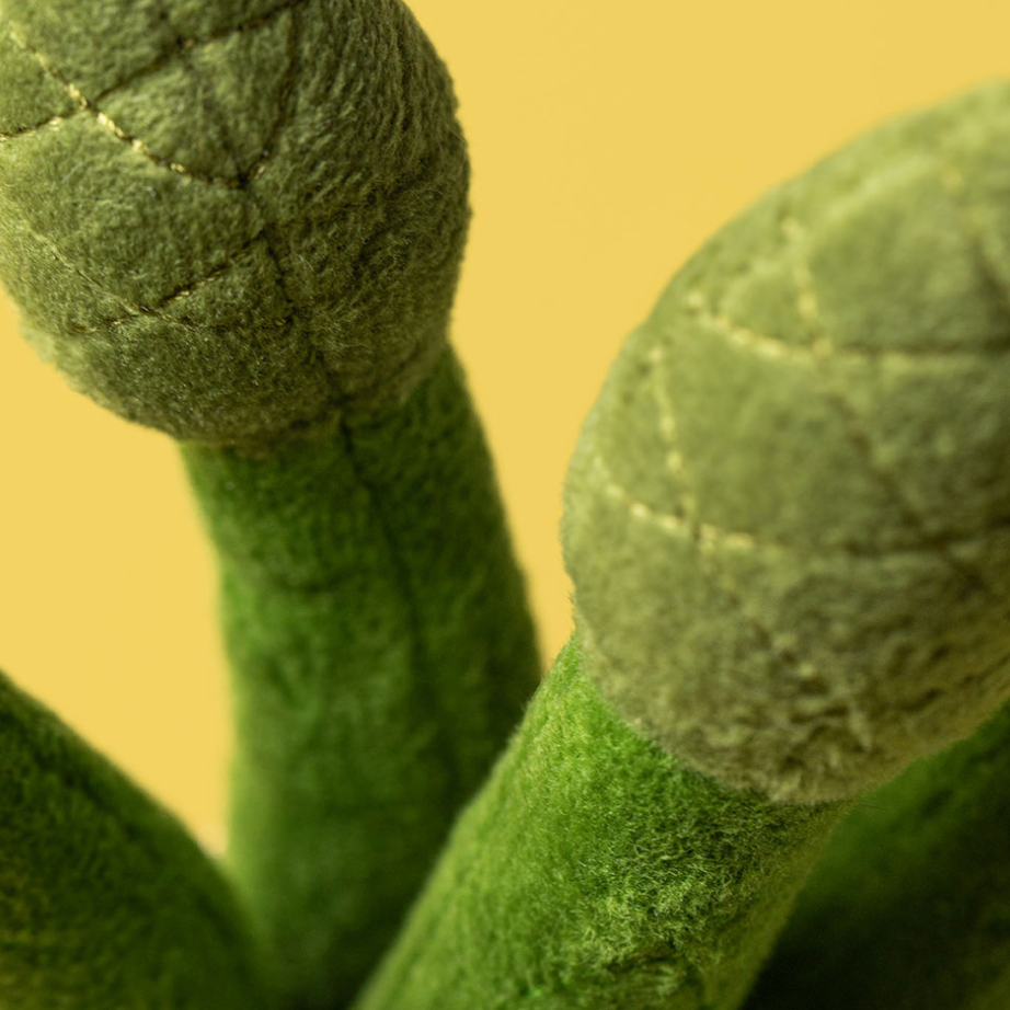 Amuseables Asparagus