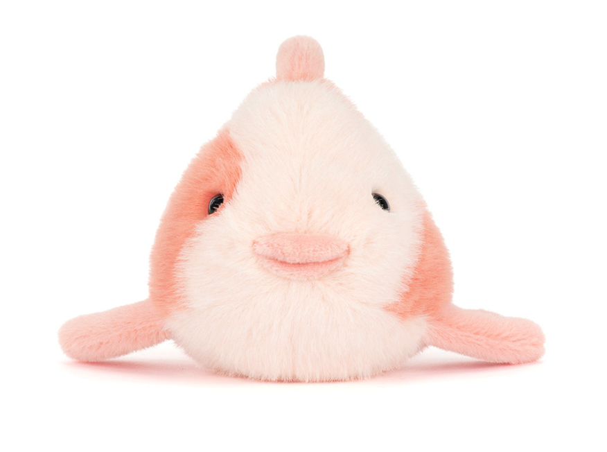 Fancy Carp