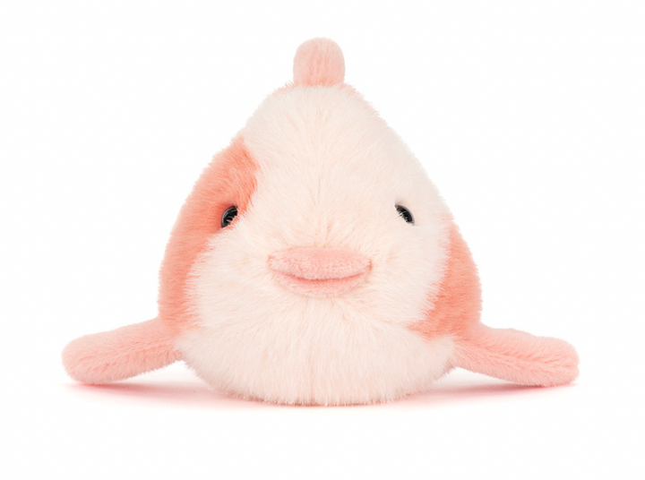 Fancy Carp