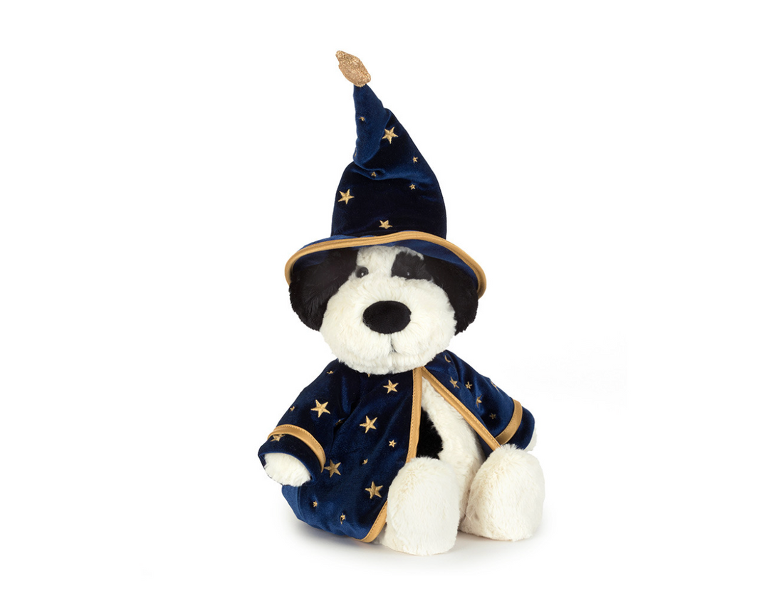 Rufferty Puppy Wizard Outfit