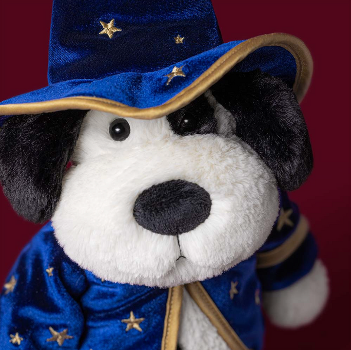 Rufferty Puppy Wizard Outfit